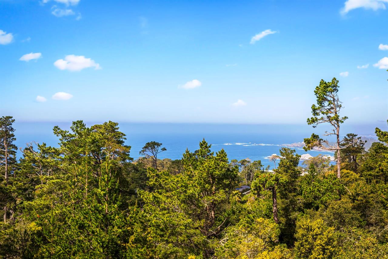 More Panoramic Ocean Views Through the Forest