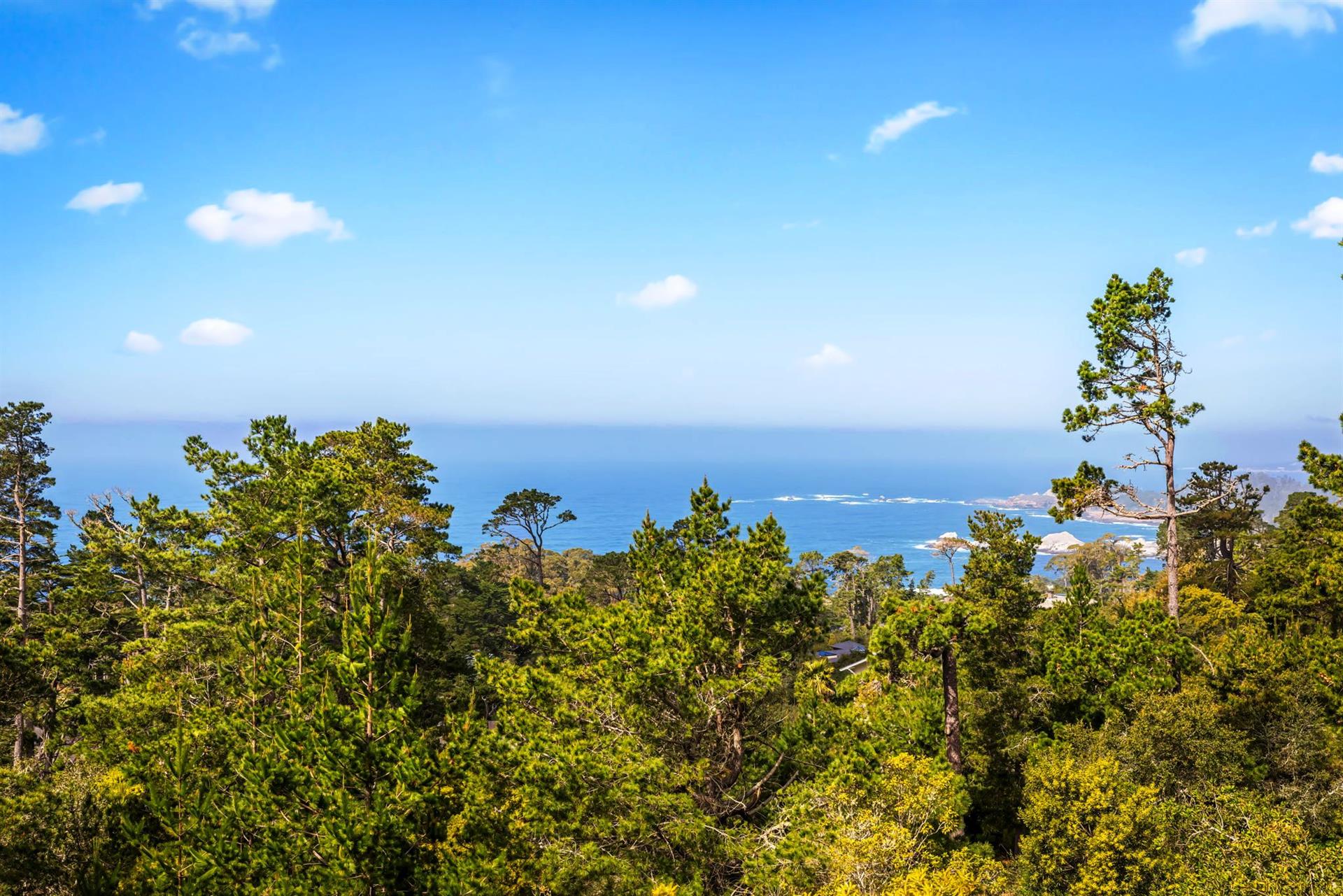 More Panoramic Ocean Views Through the Forest