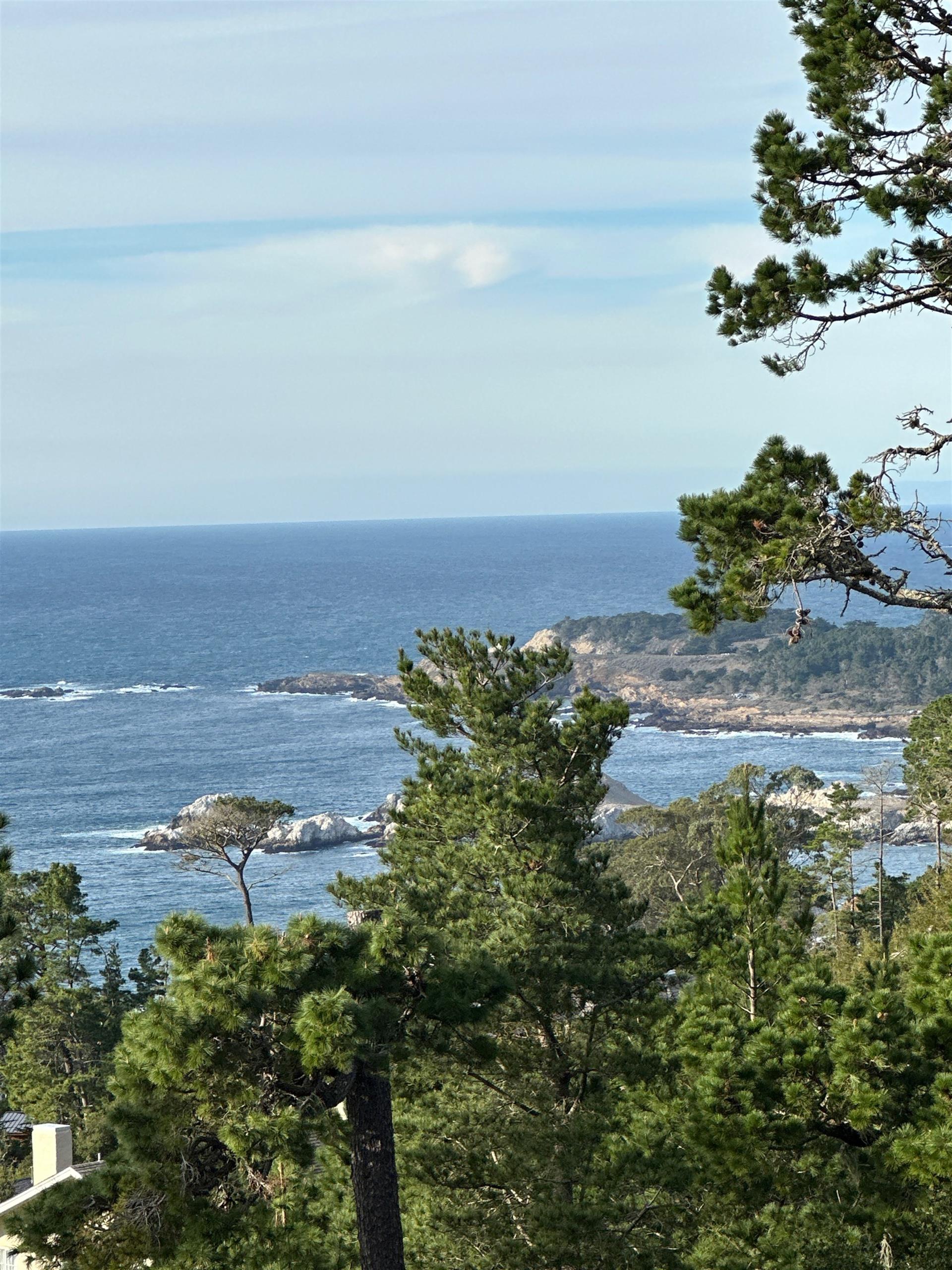 Ocean Views Through the Tree Tops