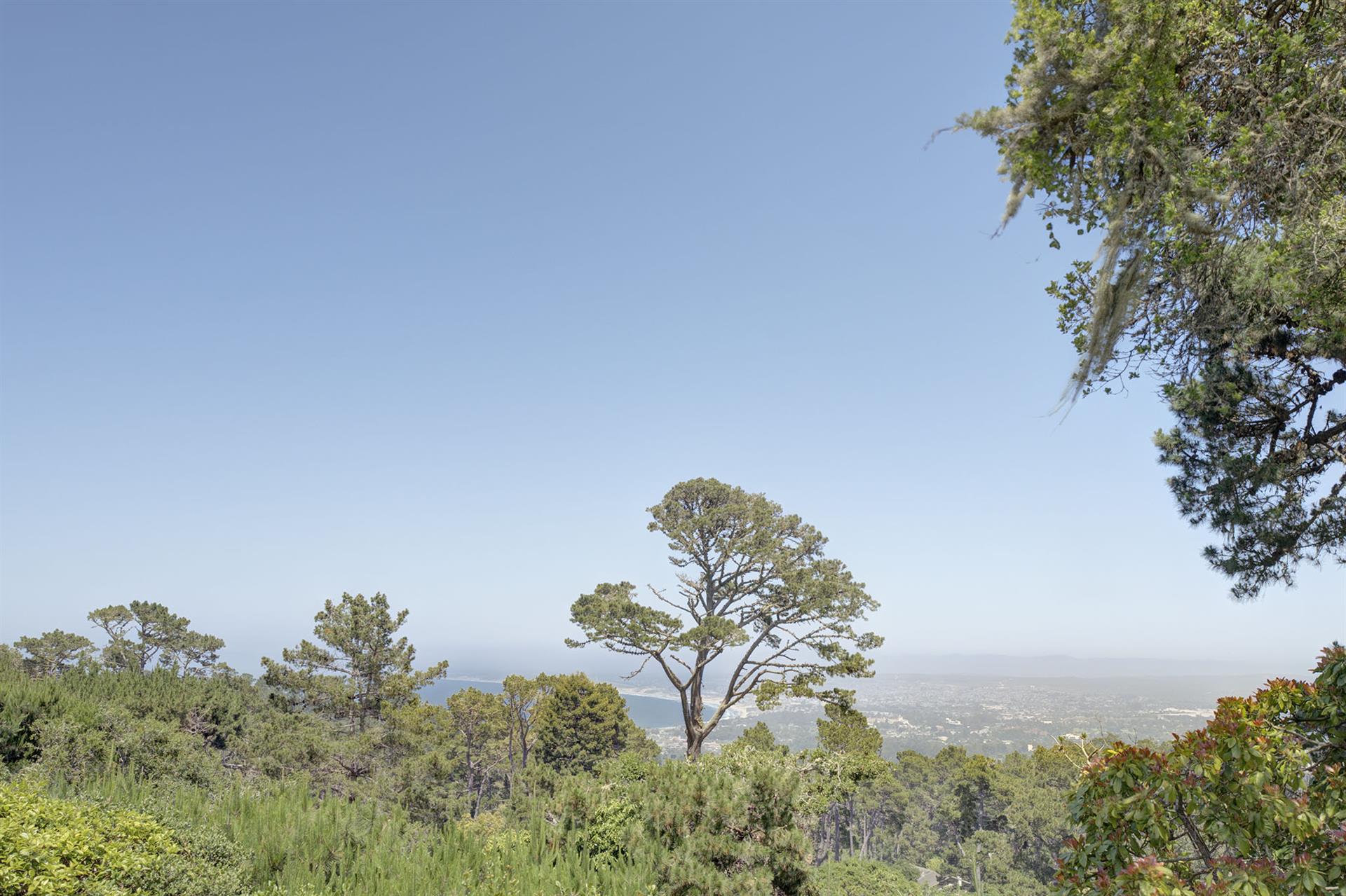View from the House