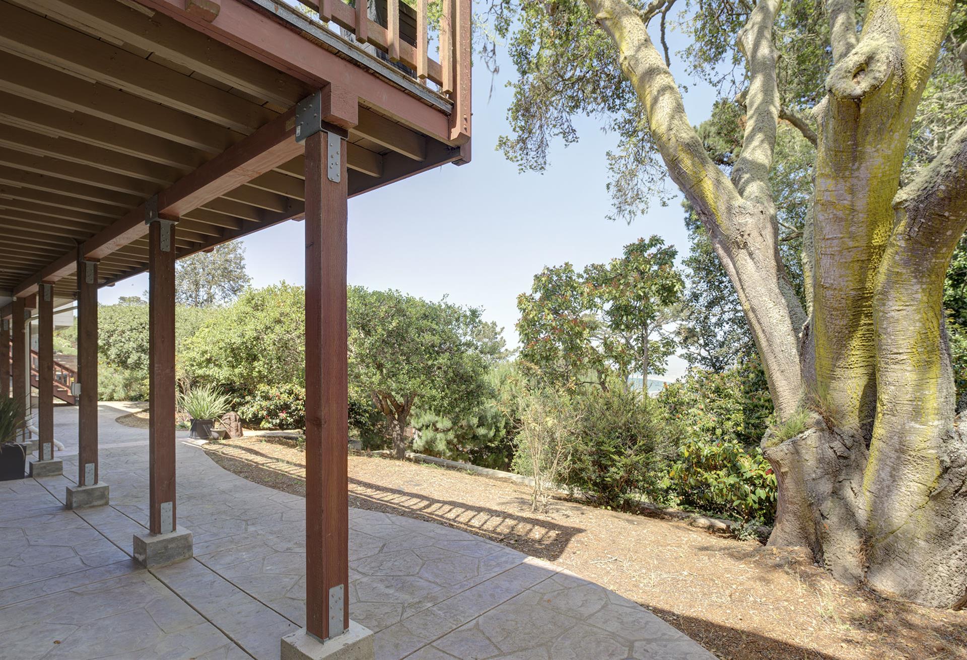 Backyard