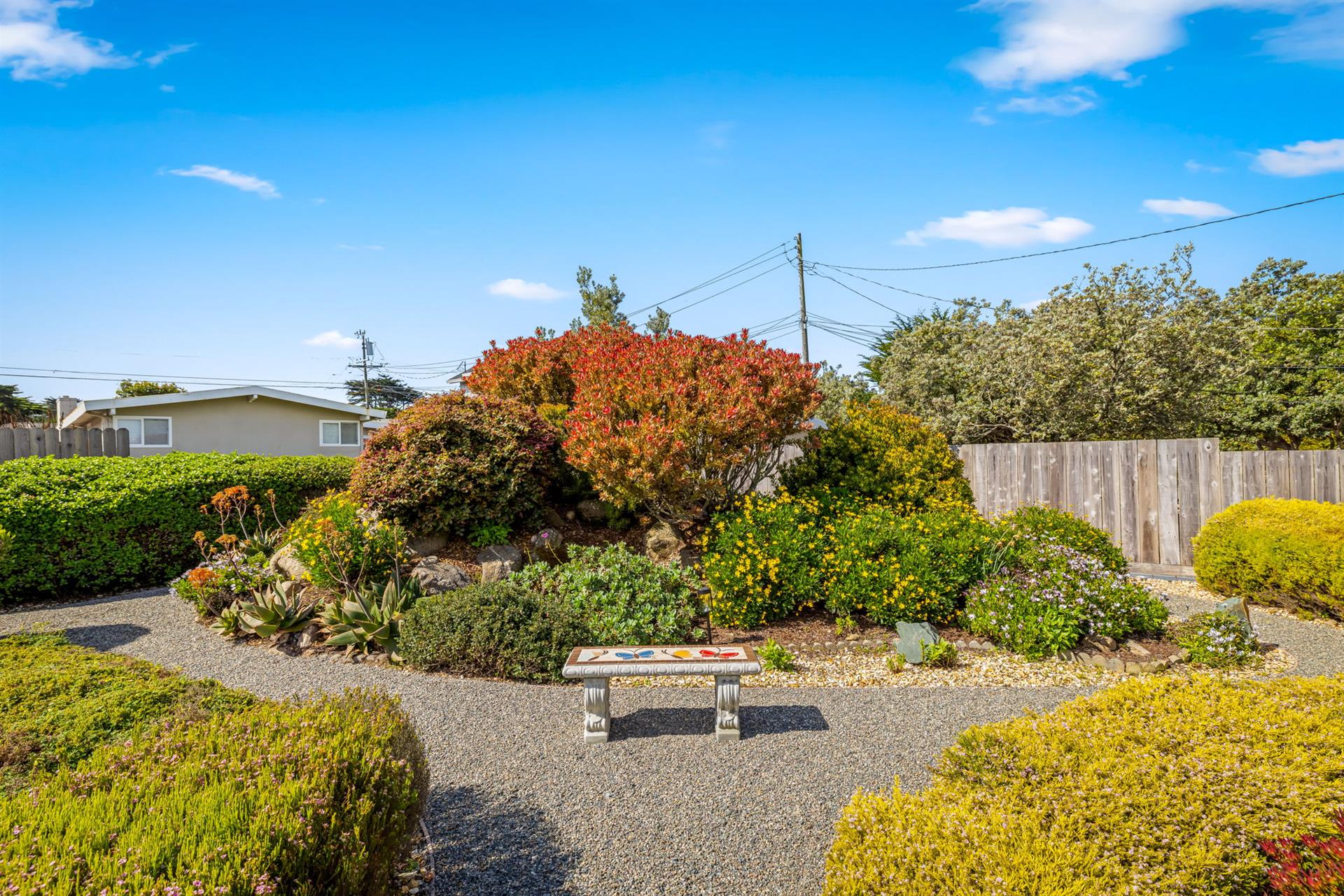 Spacious, Fenced Backyard