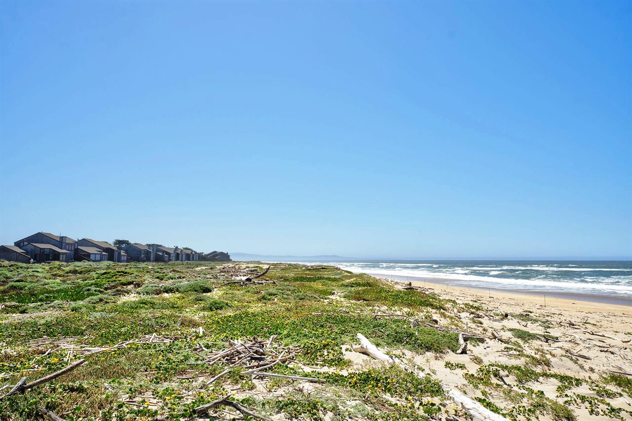 Miles of Seashore to Explore