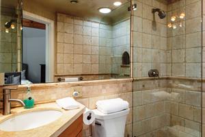 Downstairs En Suite with Shower