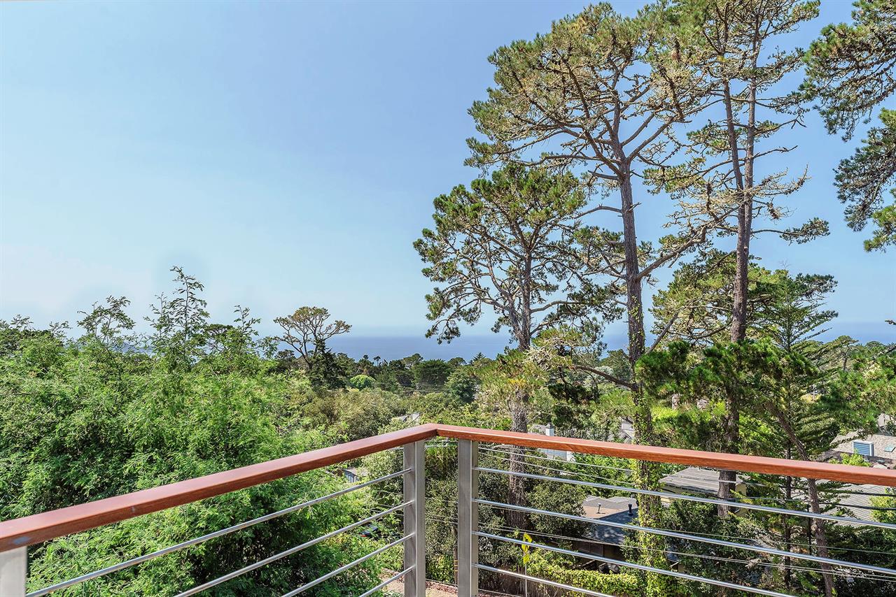 Distant Ocean Views Over the Treetops