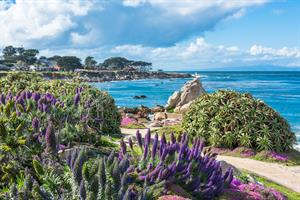 5019 Pacific Grove Vacation Rentals Have Stunning Views