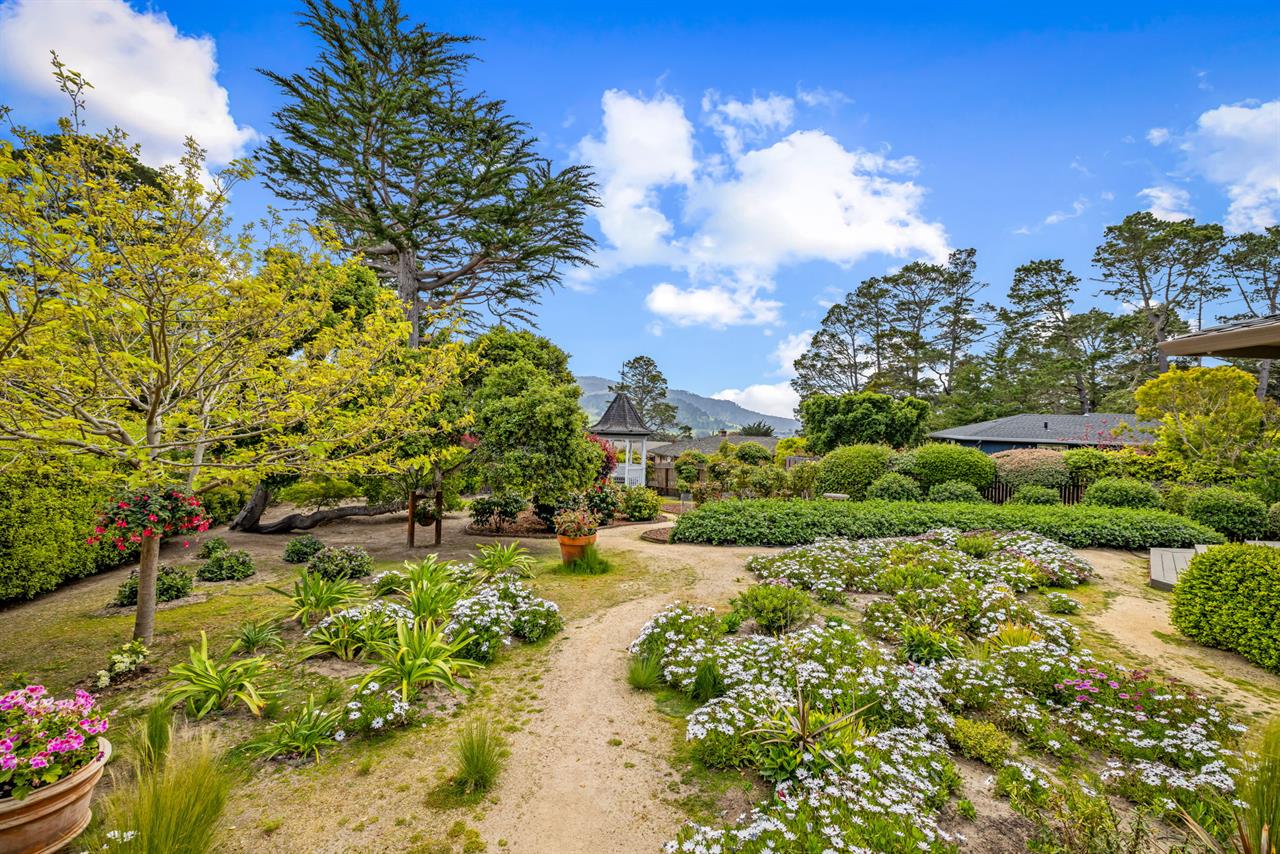 Lovely, Spacious Backyard