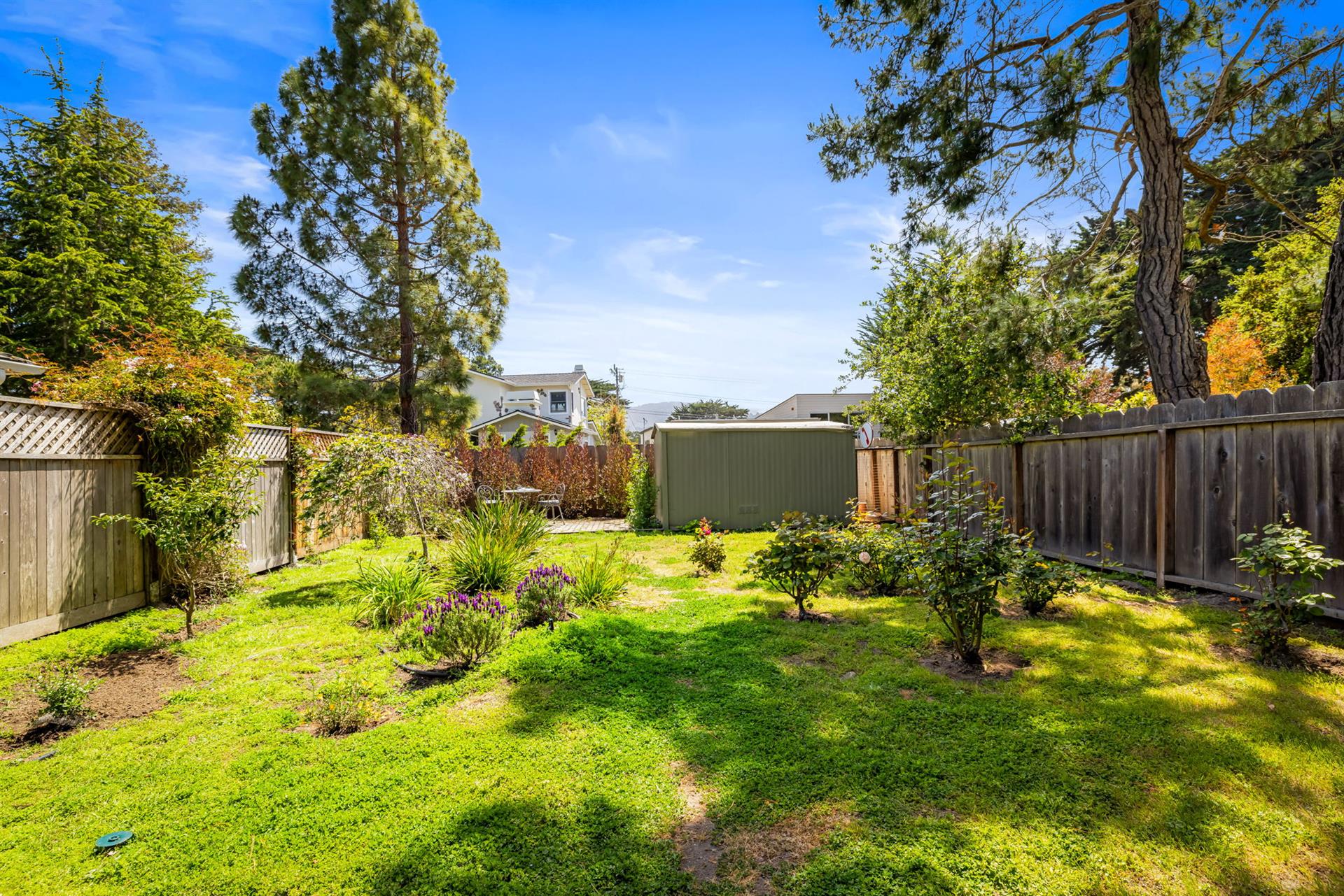 Backyard