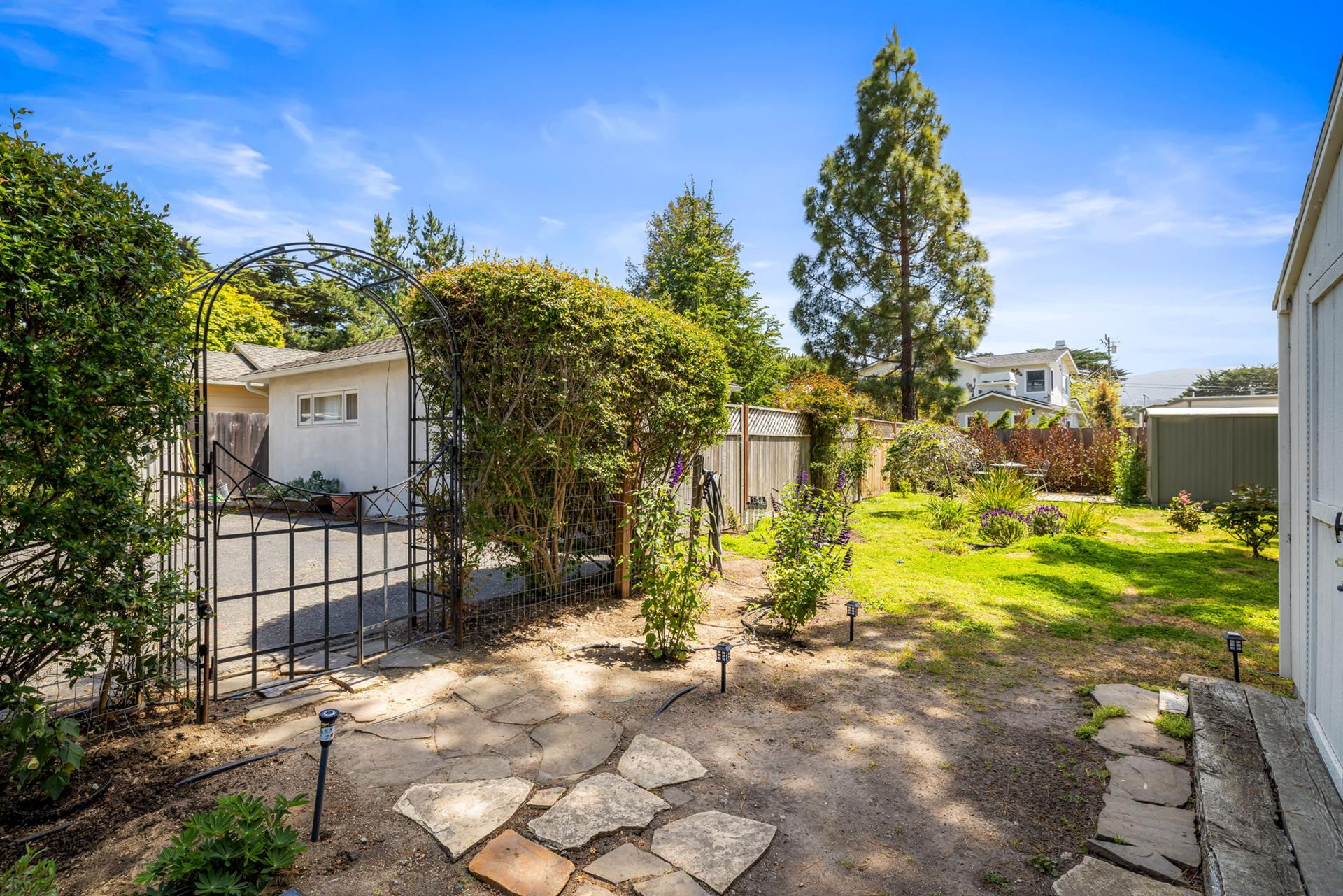 Backyard
