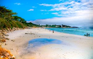 Carmel Beach