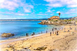 Monterey Beach Area