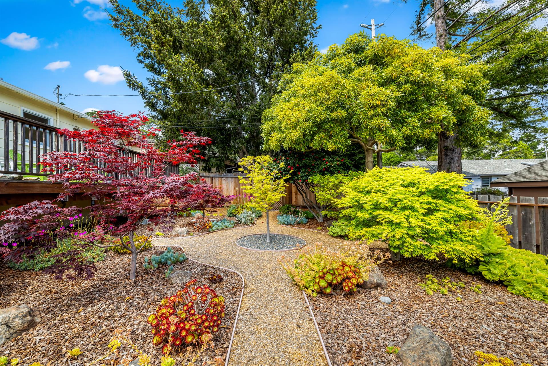 The Backyard with the Deck on the Left