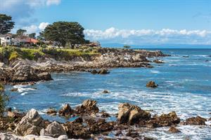 Pacific Grove Along the Recreation Trail