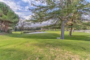 Expansive Grounds