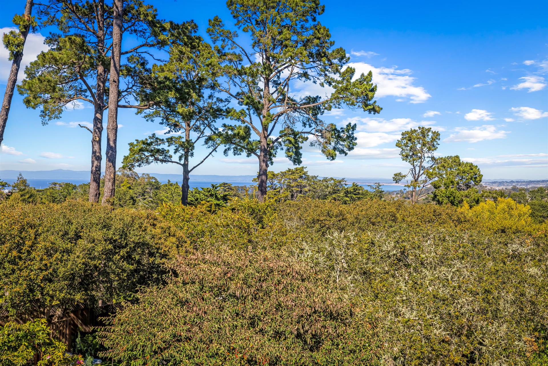 Serene Distant Ocean Views