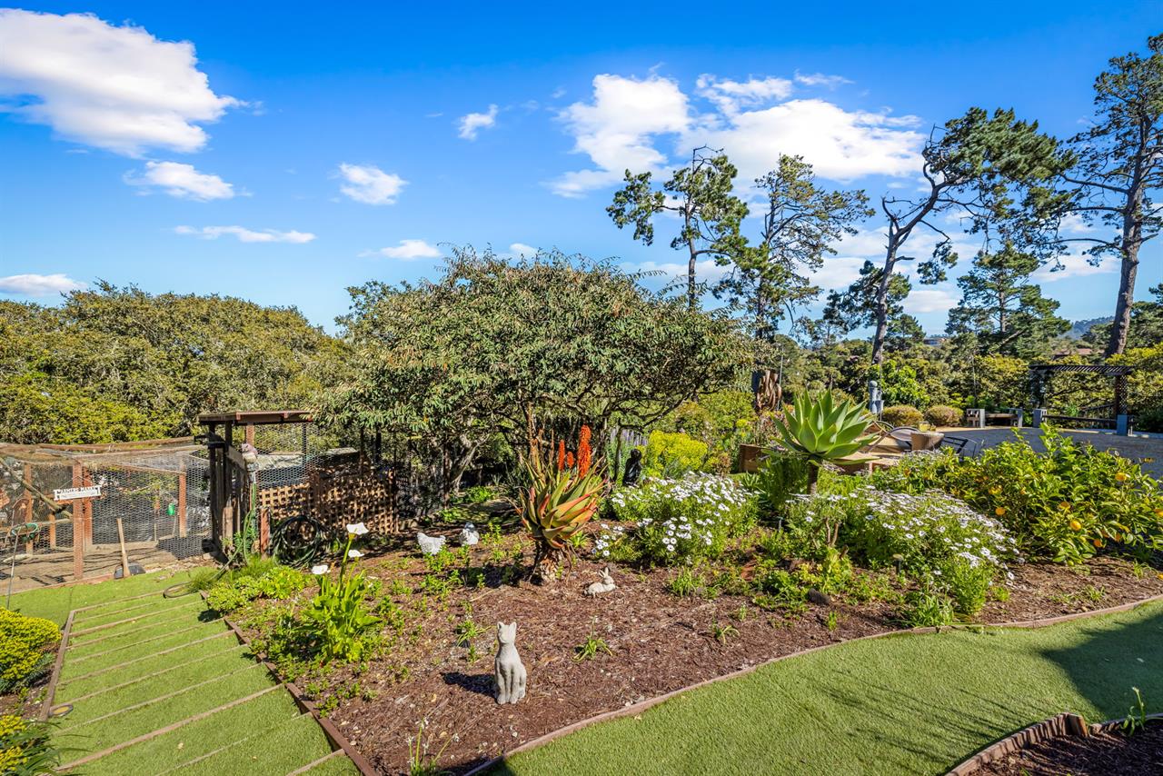 Beautiful Garden Areas in the Fenced Backyard
