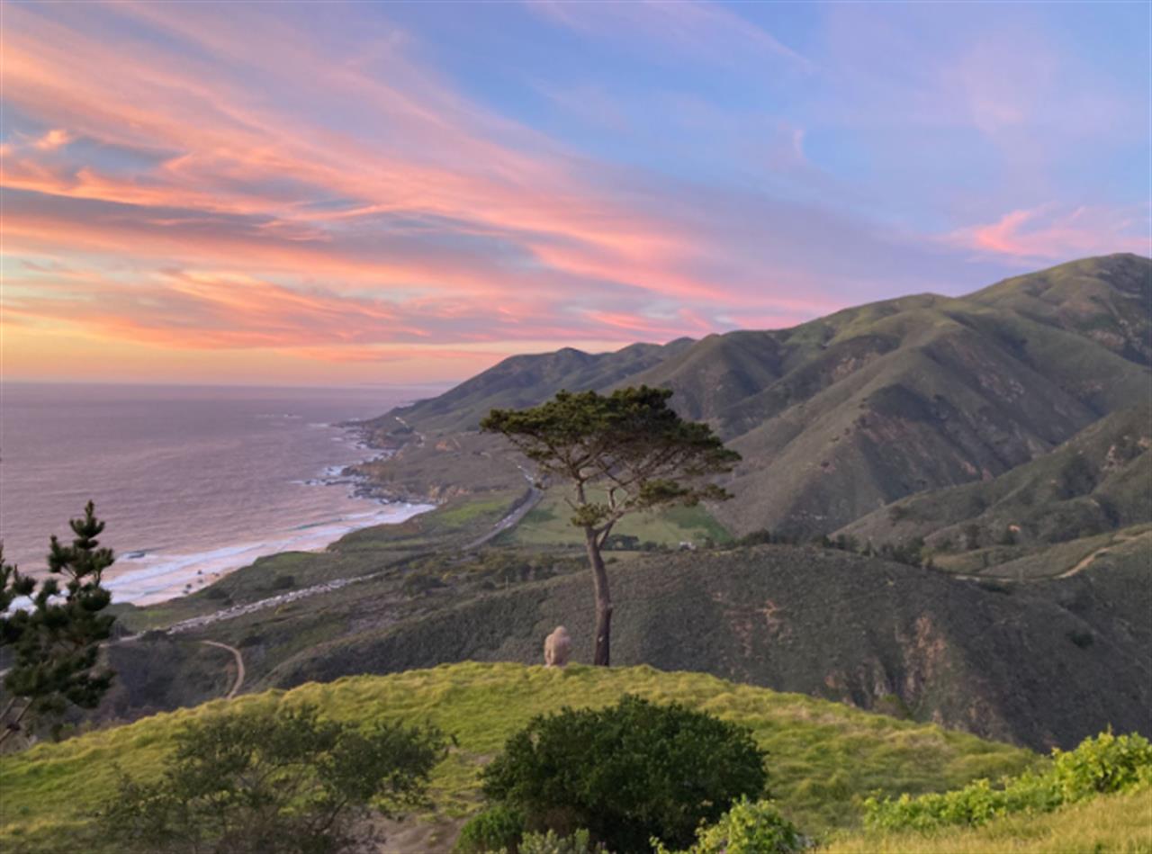 Twilight View from the Property