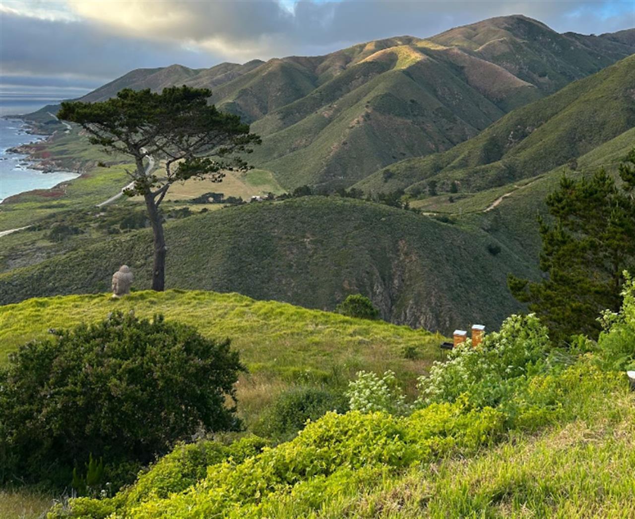 Mountain View from the Property