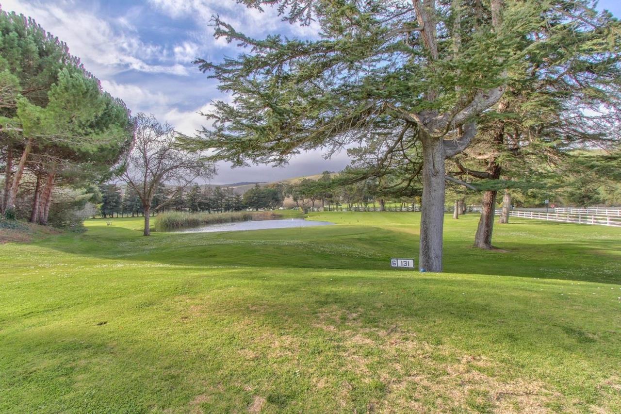 Located on the Free Golf Course