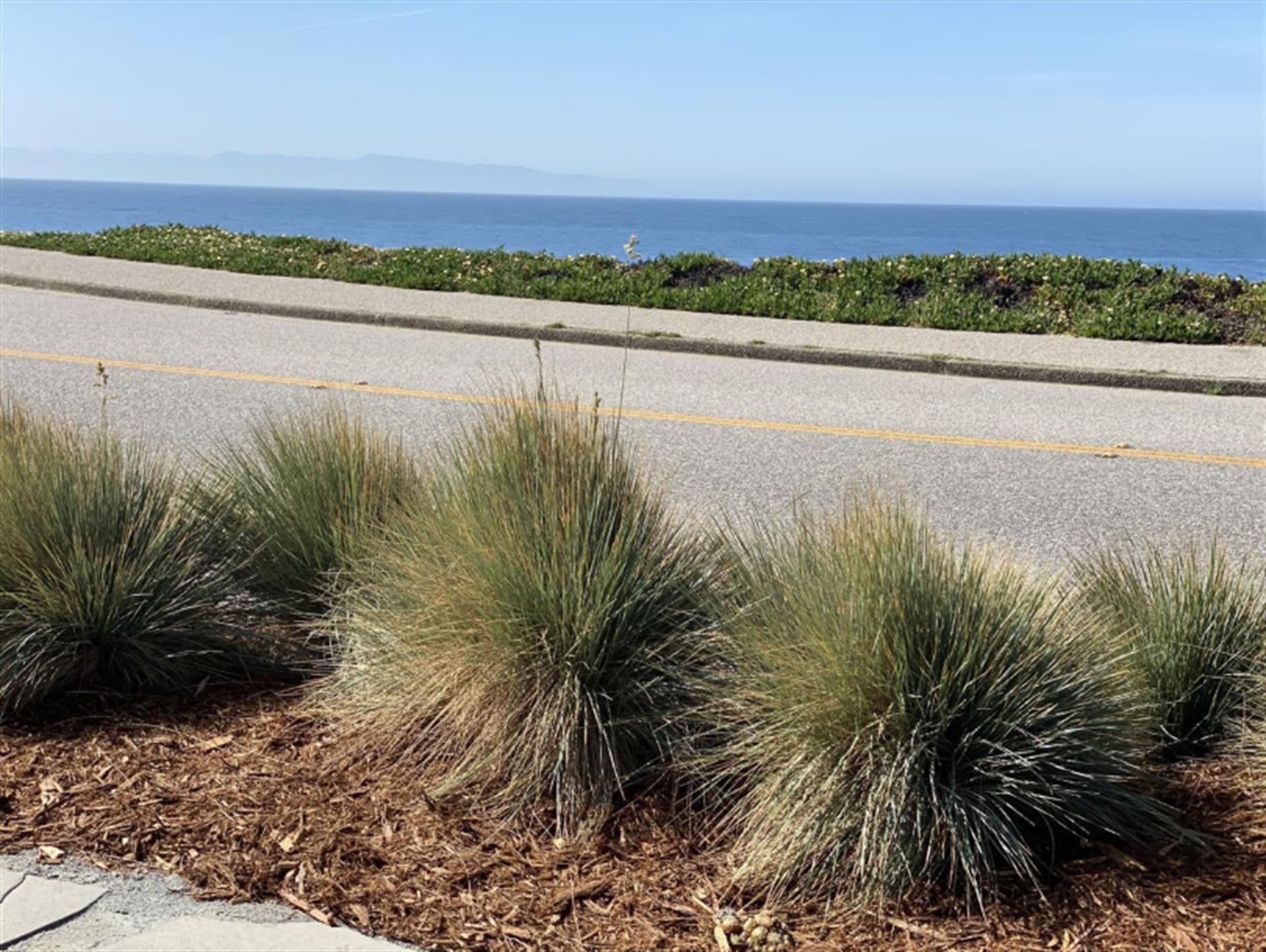 Full Ocean Views