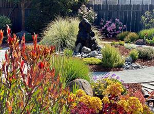 Beautifully Landscaped Yard