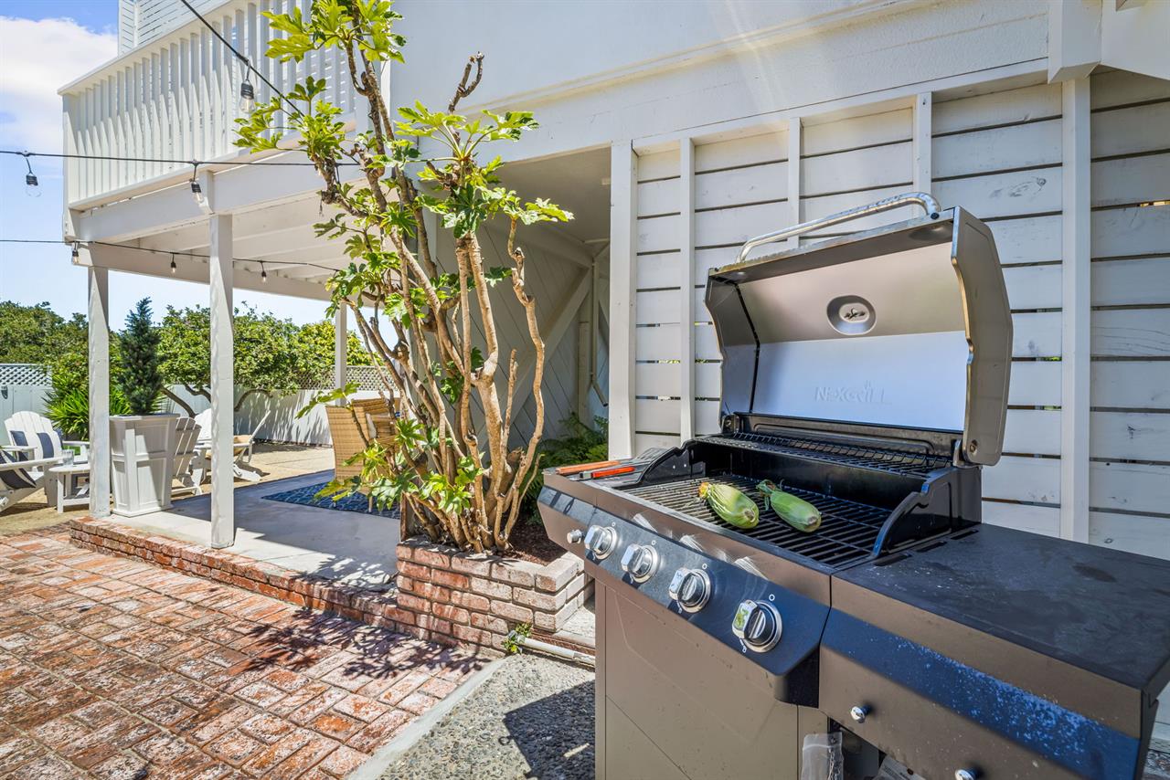 Gourmet Gas BBQ Grill