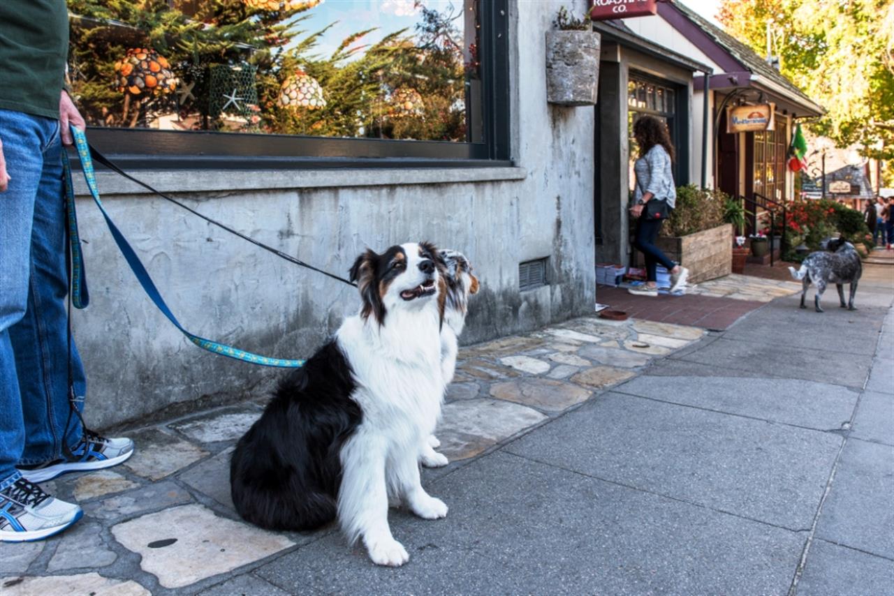 Downtown CarmelbytheSea