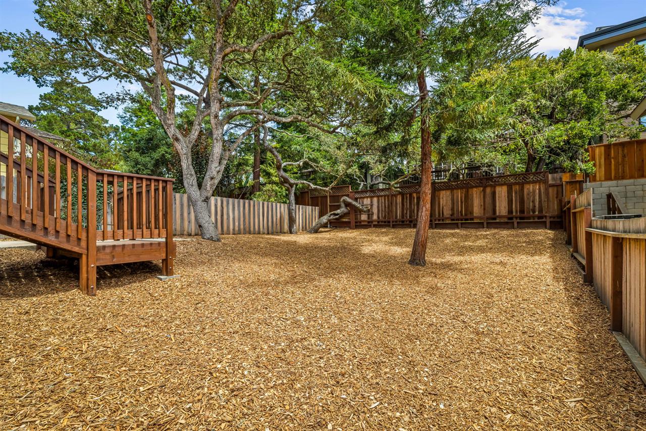 Spacious Backyard with Shade Trees