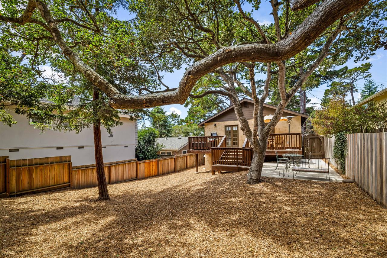 Backyard has Lovely Shade Trees