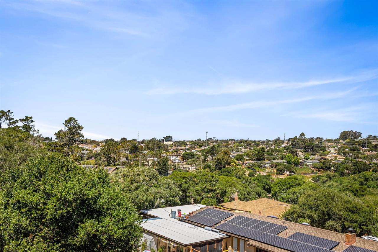 Some of the View from the Backyard