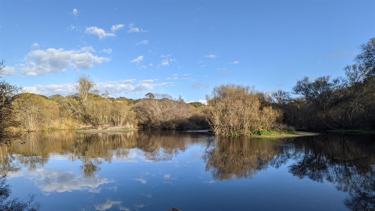 Frog Pond Nature Preserve