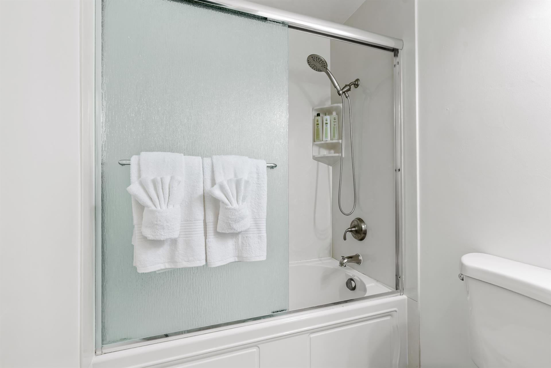 Hall Bathroom has a ShowerOverTub Combo