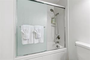 Hall Bathroom has a ShowerOverTub Combo