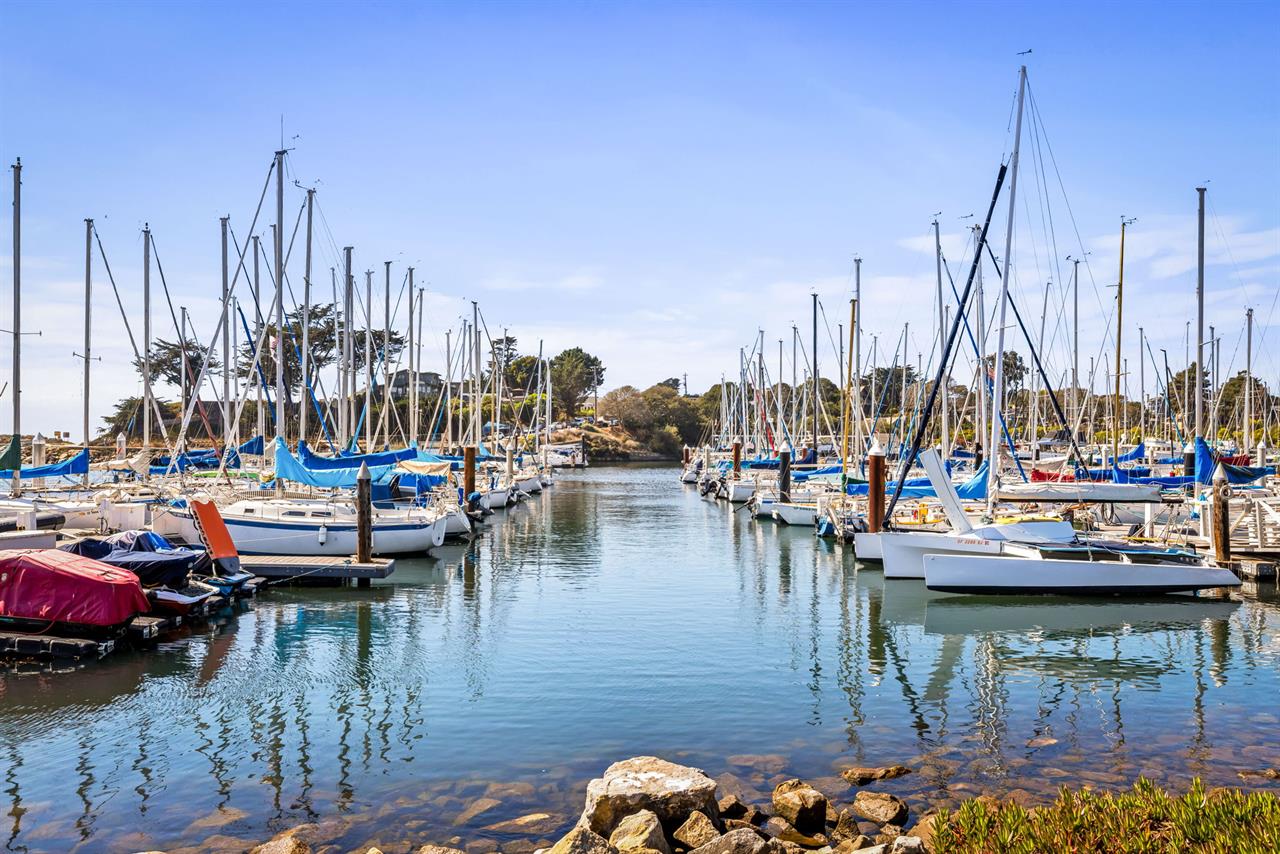 Lots of Boats to View in the Harbor
