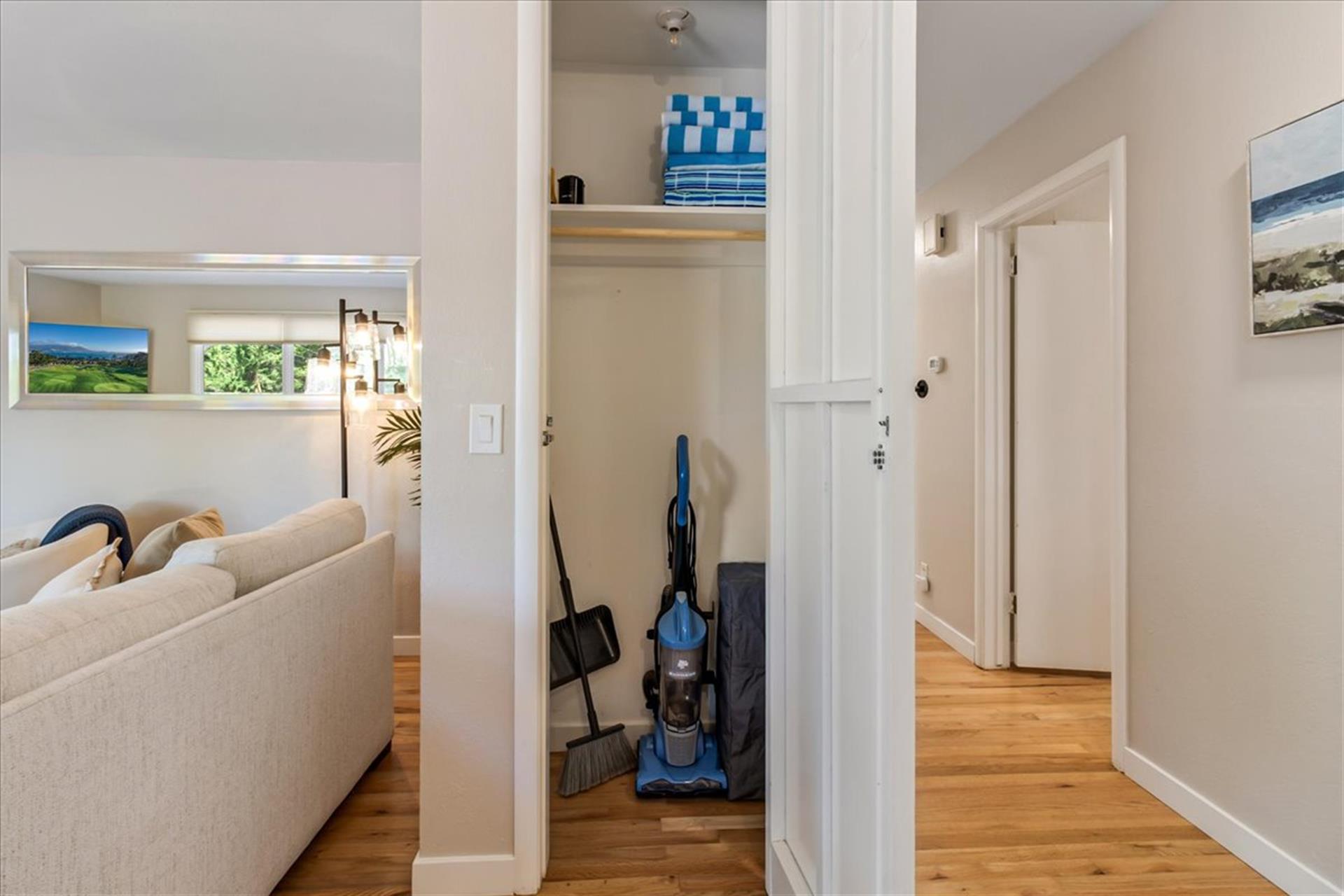 Beach Towels and then a Vacuum for the Beach Sand