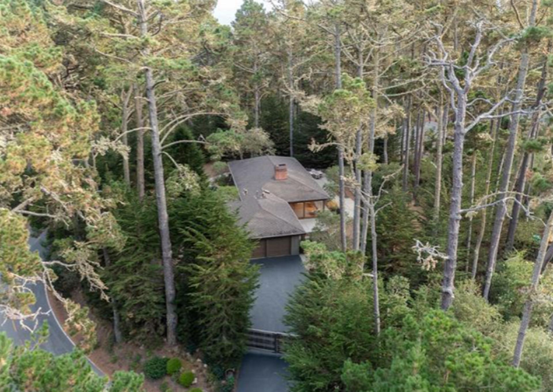 Welcome to Second Sun