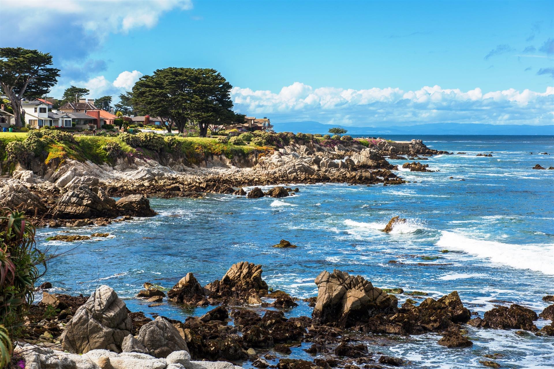 Along the Pacific Grove Rec Trail