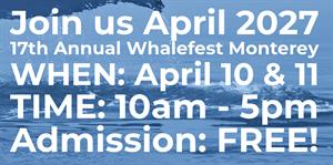 58778 Whalefest S