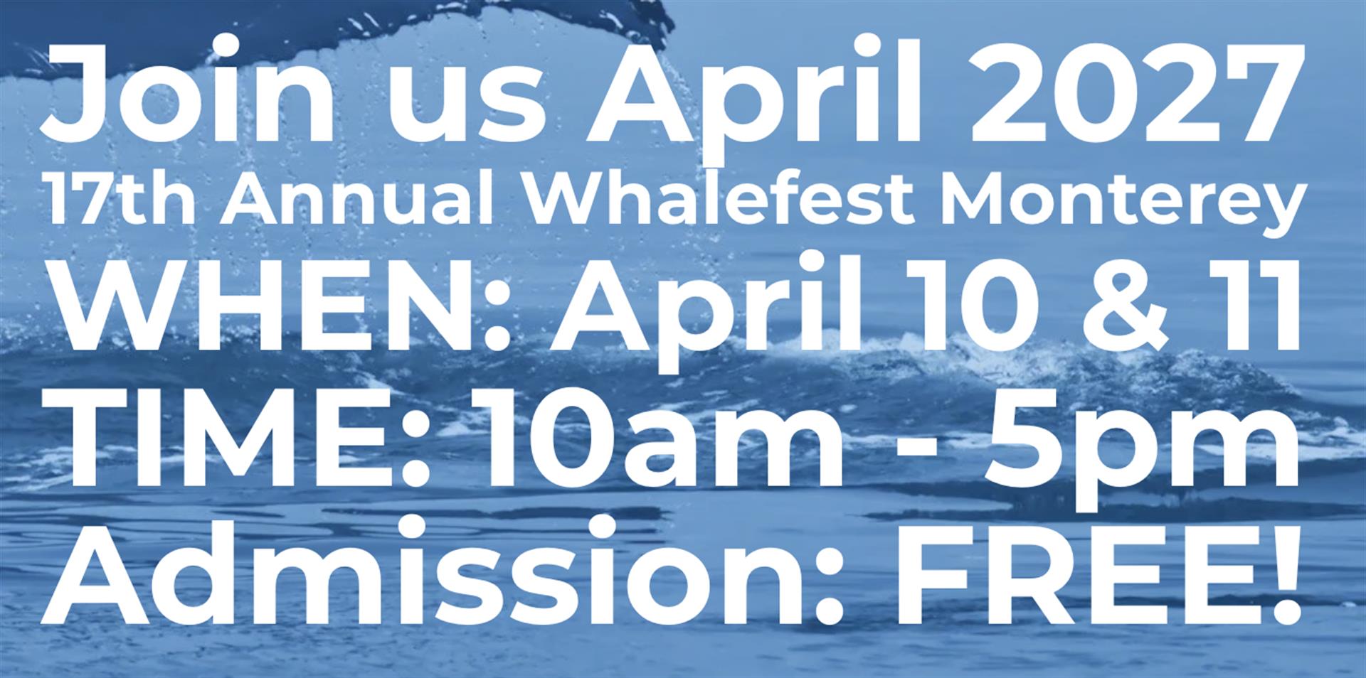 whalelead