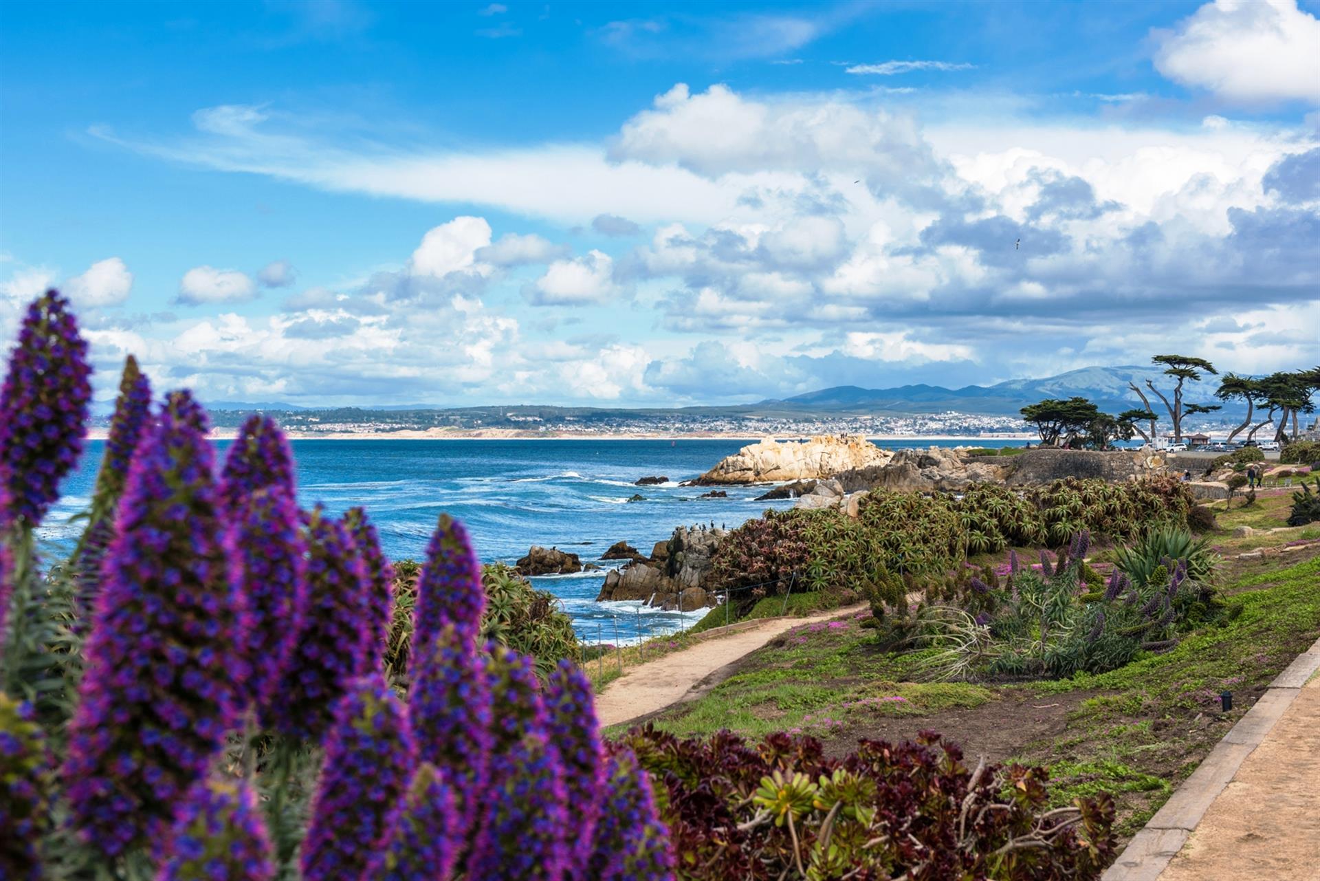 Pacific Grove  Recreation Trail