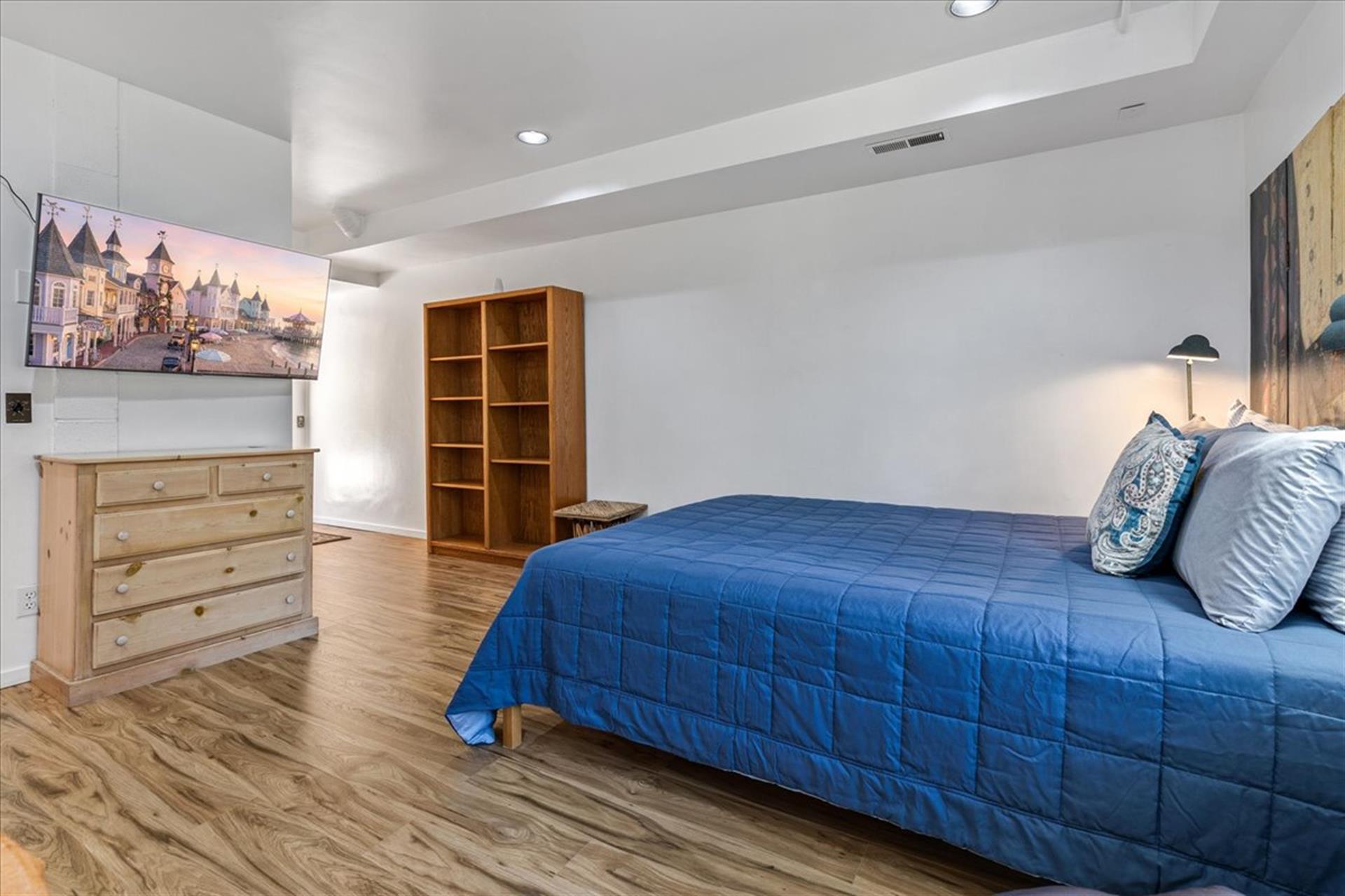 Studio has a Queen Bed and TV