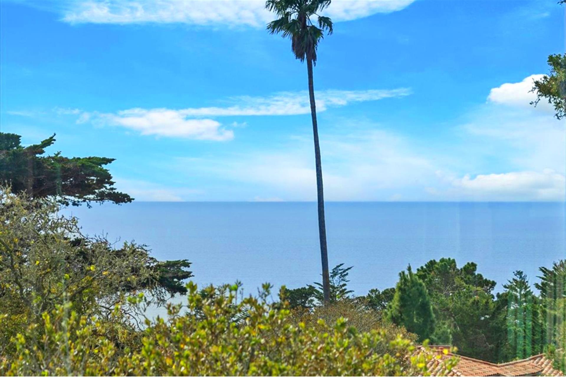 Another Stunning View from the Condo