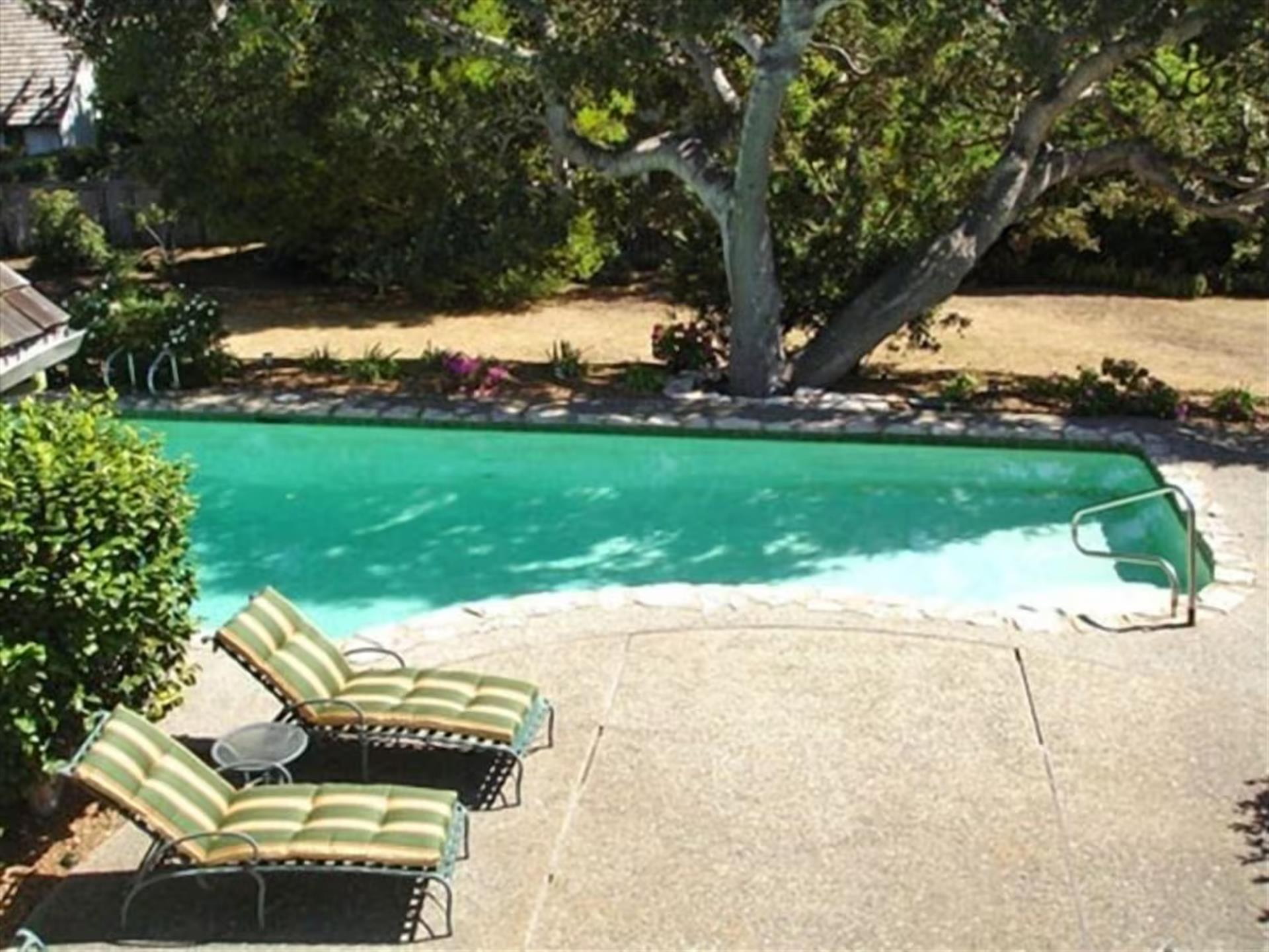 more photos coming soon