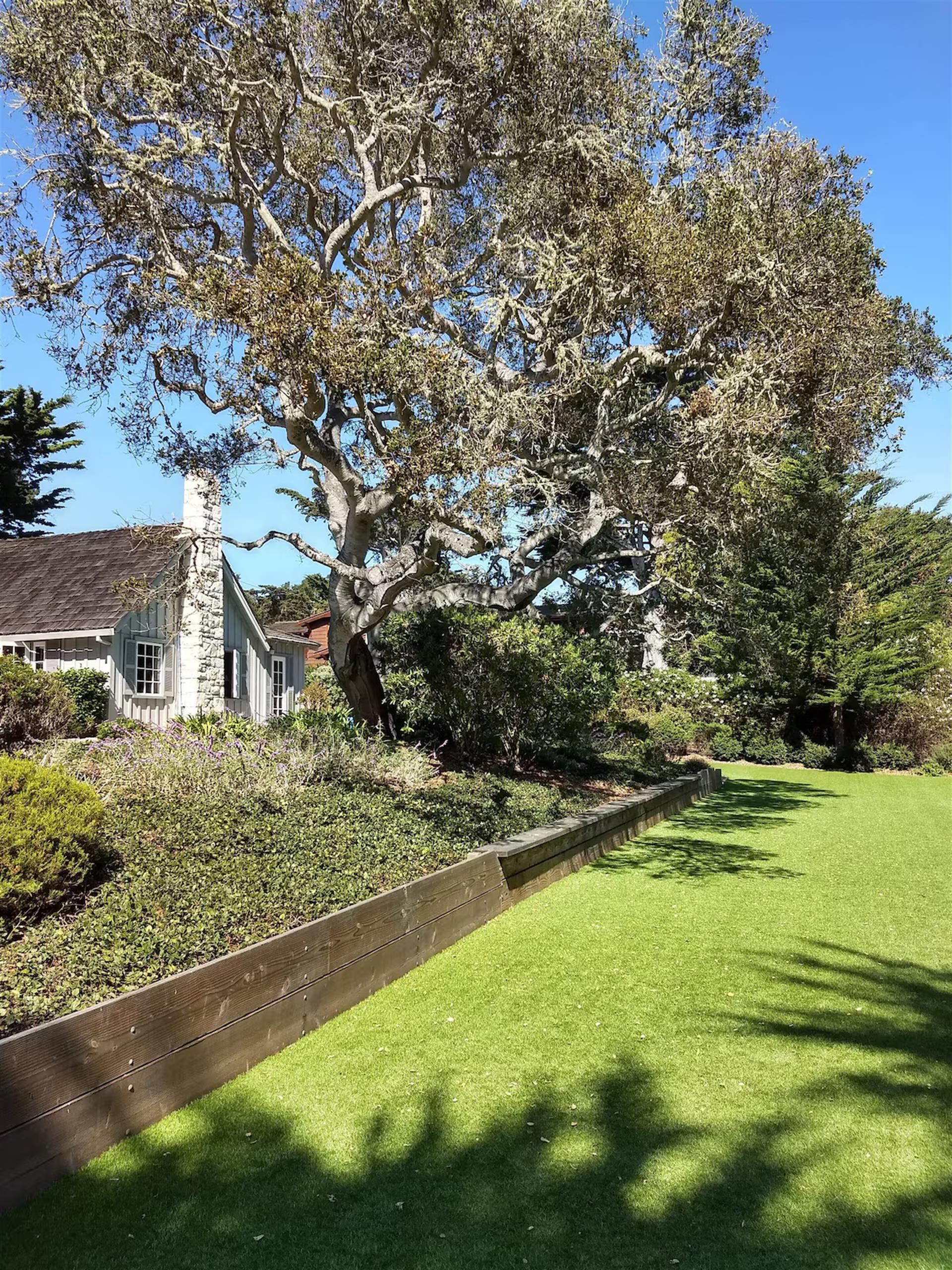 more photos coming soon