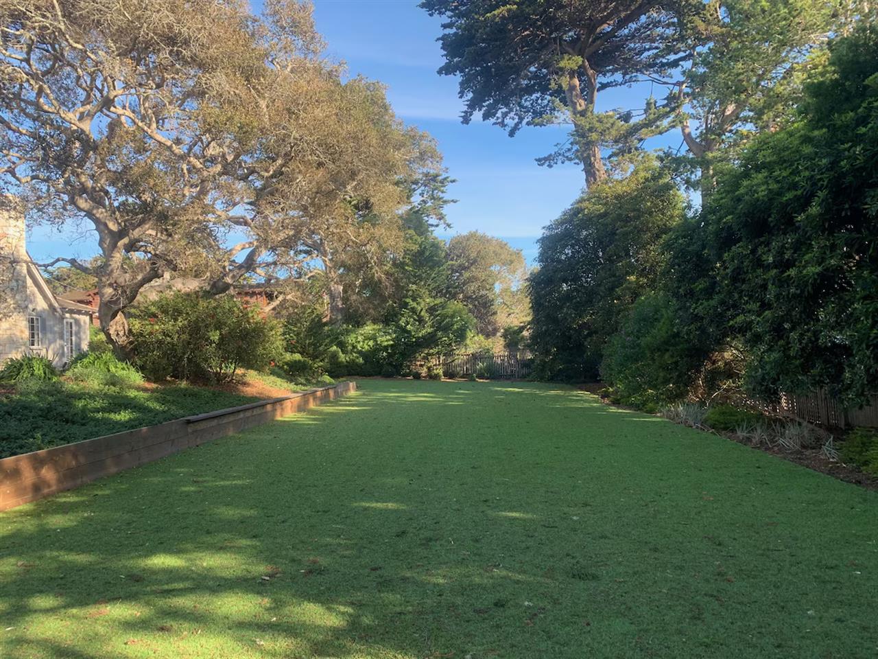 more photos coming soon