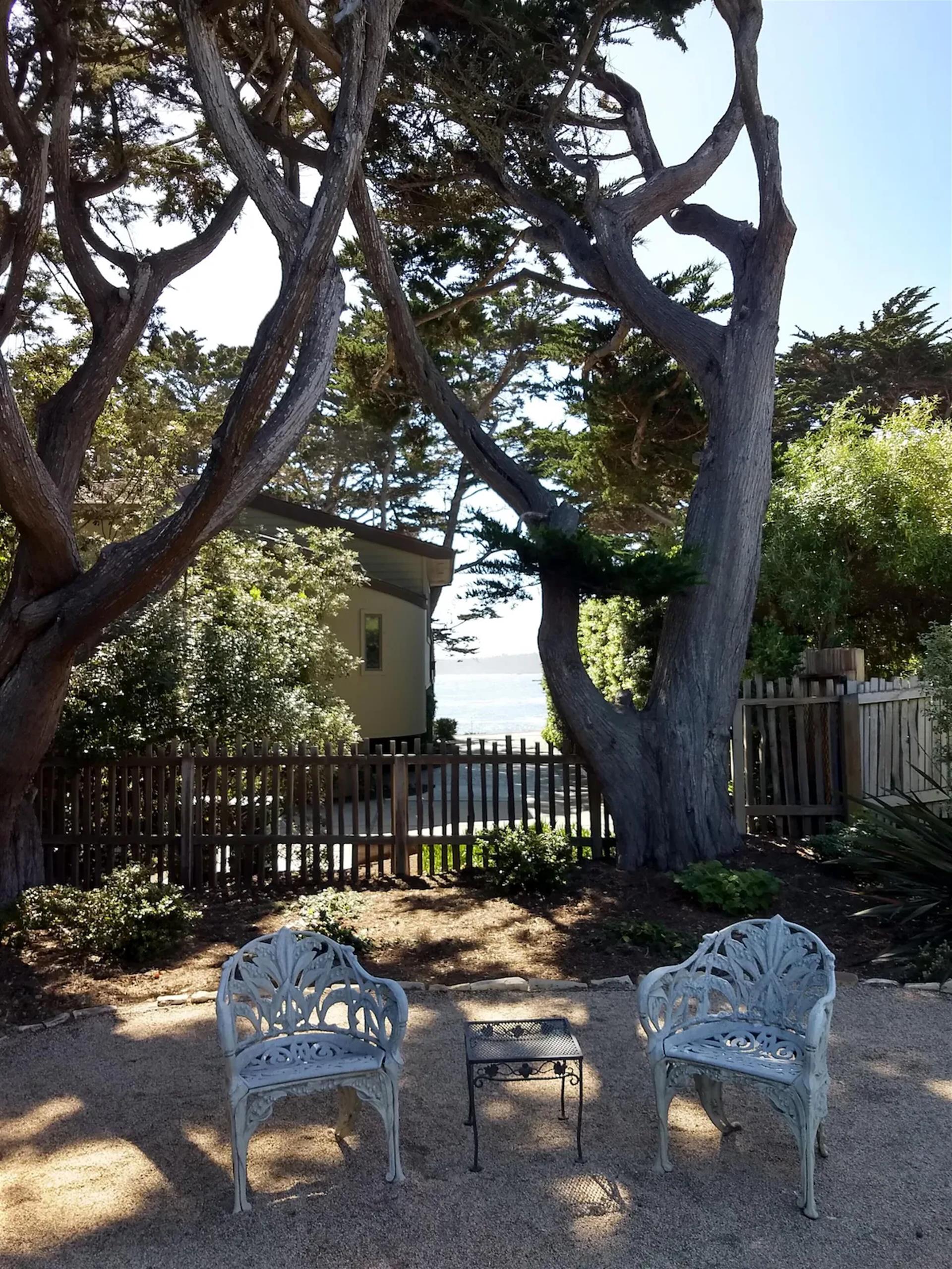 more photos coming soon