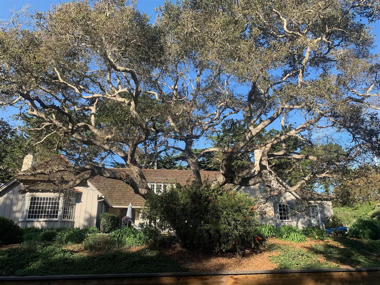 more photos coming soon