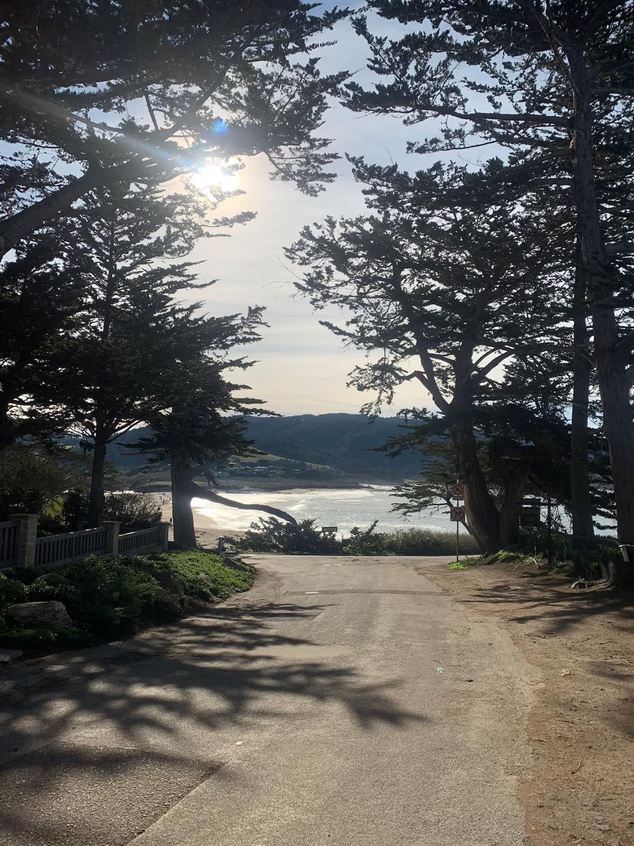 more photos coming soon