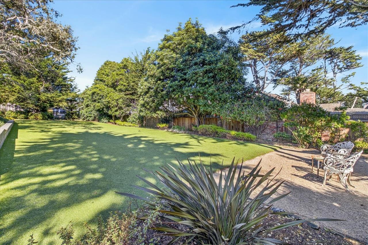 Large Landscaped Yard