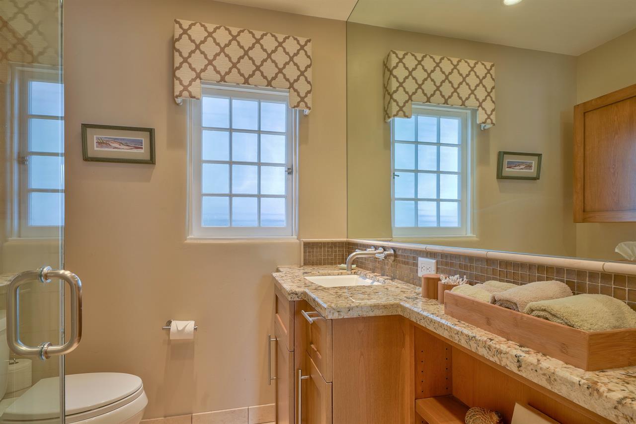 Hallway Bath has a Shower and Heated Tile Floor
